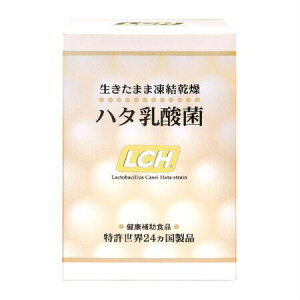 n^_ہ@2g×30(4562335538116)