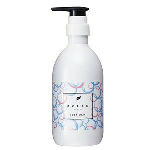 y3ZbgzI[VgR {fB\[v RɍLnbs[ȍ 500mL (4580679800157-3)