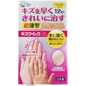 yǗË@zmw LYNCbNFit WXgTCY 12 (4960085990510)y[֔z