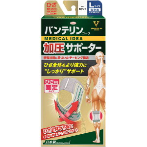 oeR[T|[^[ ЂpŒ^Cv 傫߃TCY zCg 1y`OX֔z