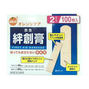 IWPA ~}Jnp 2TCY 100(4987379481165)y[֔z