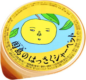 y36Zbgzs_Ƌg ̂͂V[xbg 75g 1 (4525126040618-36)