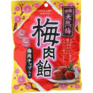 【3個セット】奥田薬品 ノンシュガー スタイリー 梅肉飴 70g(4971159019990-3)【メール便発送】
