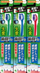 ѐ@tԂɓuV@RpNg@ӂ