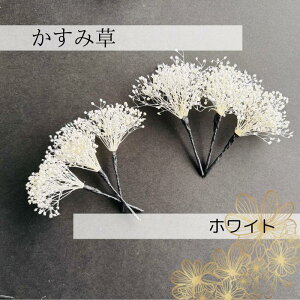 yN[|zzłzݑ6{yz@Pi@ǉ@񂴂@߁@Ǝ@l