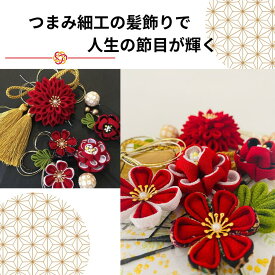 つまみ細工 髪飾り 成人式 七五三 3歳 7歳 卒業式 【雅】赤 黒 金 和装 振袖