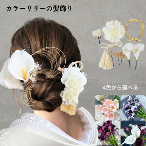 �y�I�ׂ�4�F�z�J���[�����[�̔����� �Ӓ��� �U�� ���l�� ������ �����C �Ŋ| ���Ǝ� ���� �� �G���W �� �s���N ��i �� �S�[���h �a��