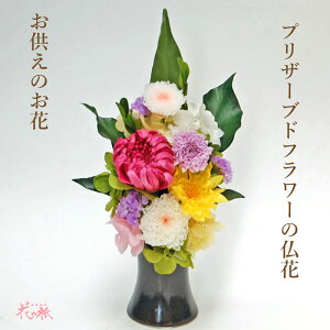 vU[uht[      d ͂Ȃ  r  l\  d dp dp ~ V~ ~ ފ @ ybg  Mtg 