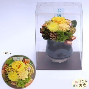 vU[uht[      d ͂Ȃ  r  l\  d dp dp ~ V~ ~ ފ @ ybg  Mtg 