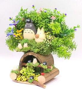  ƂȂ̃ggt[uugg̐X̔閧̓ NVbN@A secret cave Totoro' forestvWuObY ggObY u v[g 