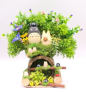 G}ugg̐X̔閧̓ NVbN@A secret cave Totoro' forestv