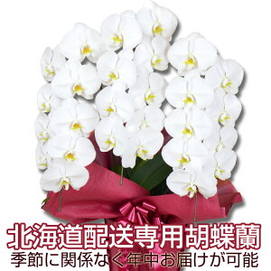 ykC͂pzӒ 4`5֍炫 ց@3{@27ֈȏ@ڂݍ݁ycƓ12̒ŗXoׁzӒ 3{ Ӓ  Ӓ j JXj Ӓ 