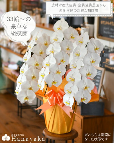 イメージ写真