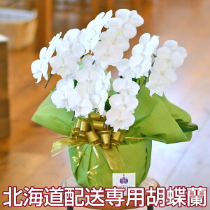 ykC͂pzӒ ~fB 5{ bsOEDtI  j hV̓ Mtg v[g@MD