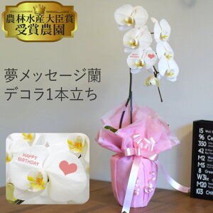 bZ[W@Ӓ  1{6ֈȏ@RpNgȑց@@j@JXj ԁ@t[Mtg