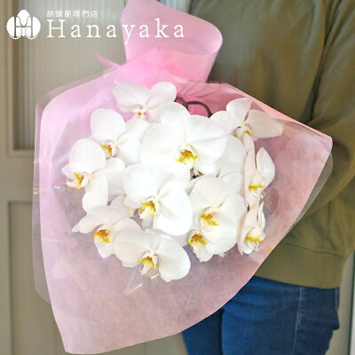楽天市場 胡蝶蘭 白大輪 花束 切花です 3本 5本束 生花 ウエディングやご自宅 ヘッドドレス 髪飾り アレンジメントにも 結婚式 胡蝶蘭専門店 はなやか 楽天市場 胡蝶蘭 白大輪 花束 切花です 3本 5本束 生花 ウエディングやご自宅 ヘッドドレス 髪飾り アレンジメントにも 結婚式 胡蝶蘭専門店 はなやか