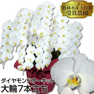 _ChI[Lbh Ӓ7{ 63ֈȏ@WoϏiyzj JXj ACj ړ]j  Mtg  a ̓ v[g  ͂Ȃ₩