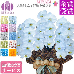 ʂLxȃJ[Ӓ 10FWJ@MIYABI 3{ 27ֈȏ@Ӓ@@΁@IW@F@@u[@p[v@Ӓ@J[Ӓ  Lx