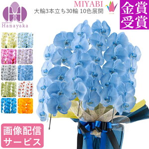 ʂLxȃJ[Ӓ 10FWJ@MIYABI 3{ 30ֈȏ@Ӓ@@΁@IW@F@@u[@p[v