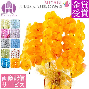 ʂLxȃJ[Ӓ 10FWJ@MIYABI 3{ 33ֈȏ@Ӓ@@΁@IW@F@@u[@p[v