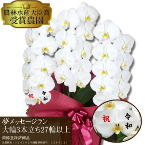 生花 花びら メッセージの人気商品 通販 価格比較 価格 Com