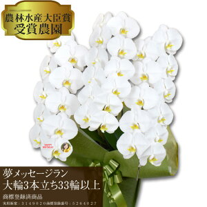 生花 花びら メッセージの人気商品 通販 価格比較 価格 Com