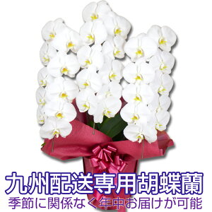 Ӓ@5֊Jԁ@B͂pIӒ@ց@3{@30ֈȏycƓ12̒ŗXoׁz}ցiЕւɂȂꍇj