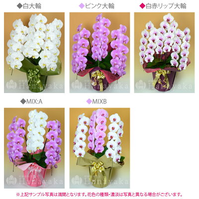 花色