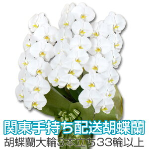 �y�֓��莝���z����p�z�@�Ӓ����@����ց@3�{�����@33�ֈȏ�i�ڂݍ��݁j���j�� �J�X�j�� �A�C�j�� �ړ]�j�� �� �M�t�g ������ �a���� ��̓� �v���[���g �� �͂Ȃ₩�y�c�Ɠ���12���܂�