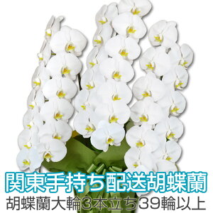 y֓莝zpz@Ӓ@ց@3{@39ֈȏiڂݍ݁jj JXj ACj ړ]j  Mtg  a ̓ v[g  ͂Ȃ₩ycƓ12܂