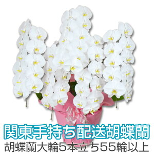 y֓莝zpzӒ@ց@5{@55ֈȏiڂݍ݁jj JXj ACj ړ]j  Mtg  a ̓ v[g  ͂Ȃ₩ycƓ12܂ł