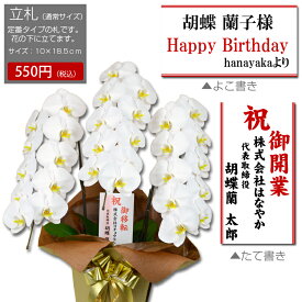 楽天市場 胡蝶蘭専門店はなやかの通販