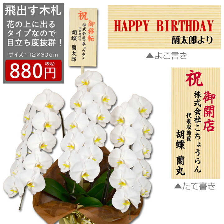 楽天市場 飛出す木札 花上に出るタイプ 単品販売不可 胡蝶蘭と一緒にご購入ください 胡蝶蘭との特別セット価格です 胡蝶蘭専門店 はなやか