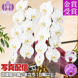 Ӓ  2{ 18ֈȏiڂݍj j  Mtg v[g 蕨  a z JXj JƏj ړ]j җ  Ε t[Mtg ԁ@hV̓@9R