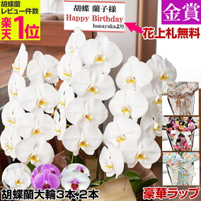 楽天市場 鉢花 種類 植物 ラン 人気ランキング1位 売れ筋商品