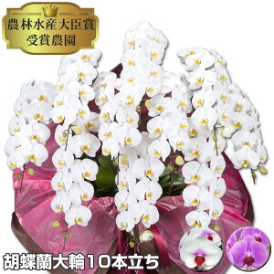 Ӓ  10{90ֈȏiڂݍjyz Ӓ@j Mtg  v[g 蕨  a z JXj JƏj ړ]j җ  Mtg@9R