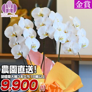 Ӓ  3{ 18ցiڂݍj Mtg j  v[g 蕨  a z JXj JƏj ړ]j җ  Ε N hV̓ Mtg 6R