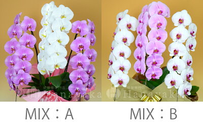MIX