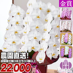 Ӓy|Cg15{Iz 3{ 33ց`iQ݁j v[g a z ACj JXj JƏj ړ]j җ ij j   Ij ̓ hV̓ M