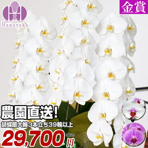 Ӓ y|Cg5{Iz 3{ 39ց`iڂݍjj Mtg  v[g 蕨  a z JXj JƏj ړ]j җ@13R