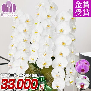 Ӓ@|Cg5{3{ 42ֈȏiڂݍj j JXj ACj ړ]j  Mtg  a ̓ v[g  ͂Ȃ₩ 14R