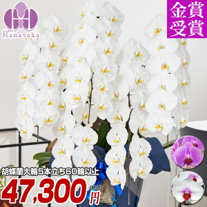 Ӓ |Cg7{ 5{ 60ֈȏiڂݍj j JXj ACj ړ]j  Mtg  a ̓ v[g  ͂Ȃ₩ 12R