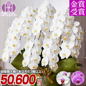 Ӓ y|Cg5{Iz 7{ 63ց`iڂݍj yzӒ j Mtg  v[g 蕨  a z JXj JƏj ړ]j җ  