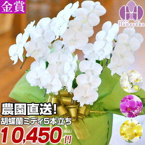 Ӓ ~fB 5{ hV̓ v[g  蕨  a J@j JXj JƏj ړ]j ACj җ  t[Mtg  ̓ Mtg MD