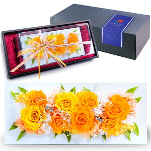 vU[uht[ a ސEj vU[uht[ Mtg ̓ Ǌ| v[g Ê Êj Mtg  LO e P  Ď җ Vzj j Pj 