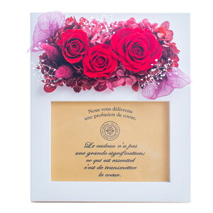 vU[uht[ ʐ^ j ʐ^ v[g  ʐ^ c c ސEj  Mtg FB a O j Ê   uU[ht[ a Ď 