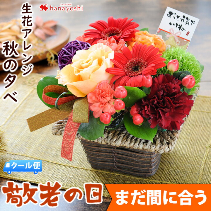 楽天市場 クール便 まだ間に合う 敬老の日 ギフト 花 プレゼント 送料無料 敬老の日限定 生花 アレンジメント 秋の夕べ 9 15 9 19の間にお届け 敬老の日ギフト お花 フラワーアレンジメント フラワーギフト 敬老の日プレゼント 22 おばあちゃん おじいちゃん 祖母