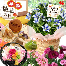 早割 敬老の日 花 鉢植え お菓子 プレゼント ギフト 選べる25通り 花とスイーツ セット フラワーギフト グルメ 敬老 鉢花 花鉢 甘味 お花 敬老の日ギフト プリザーブドフラワー ブリザードフラワー 和風 おばあちゃん おじいちゃん 祖父 祖母 敬老の日限定 2025
