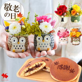 敬老の日 プレゼント 花 お菓子 ふくろう 鶴と亀 和風 ペア プリザーブドフラワー と鳴門金時芋 どら焼き セット 敬老の日プレゼント 花とお菓子 花とスイーツ 縁起物 ブリザードフラワー 敬老の日ギフト 2025 お花 和菓子 孫 送料無料 祖父 祖母 義母 義父 置物 小さい