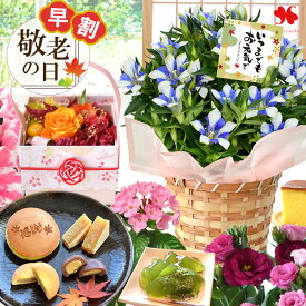 早割 敬老の日 花 敬老の日ギフト お菓子 セット 鉢植え 15通り 花とお菓子 選べる 花とスイーツ プレゼント ギフト りんどう 和菓子 抹茶 わらび餅 長崎カステラ スイーツ 敬老 鉢花 花鉢 お花 敬老の日ギフト プリザードフラワー 敬老の日限定 プリザーブドフラワー